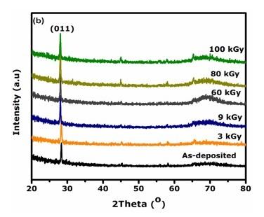 2017-effects of gamma.jpg